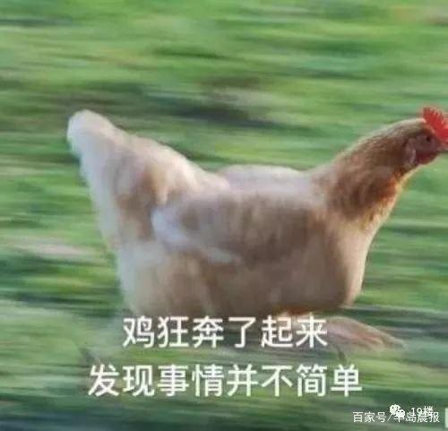 地鐵安檢不允許帶活雞,大媽接下來的行為,把地鐵的小姐姐嚇壞了